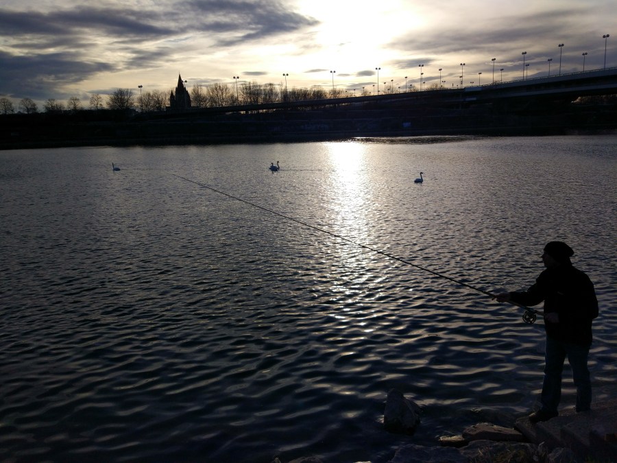 20170306_Вена_на сайт