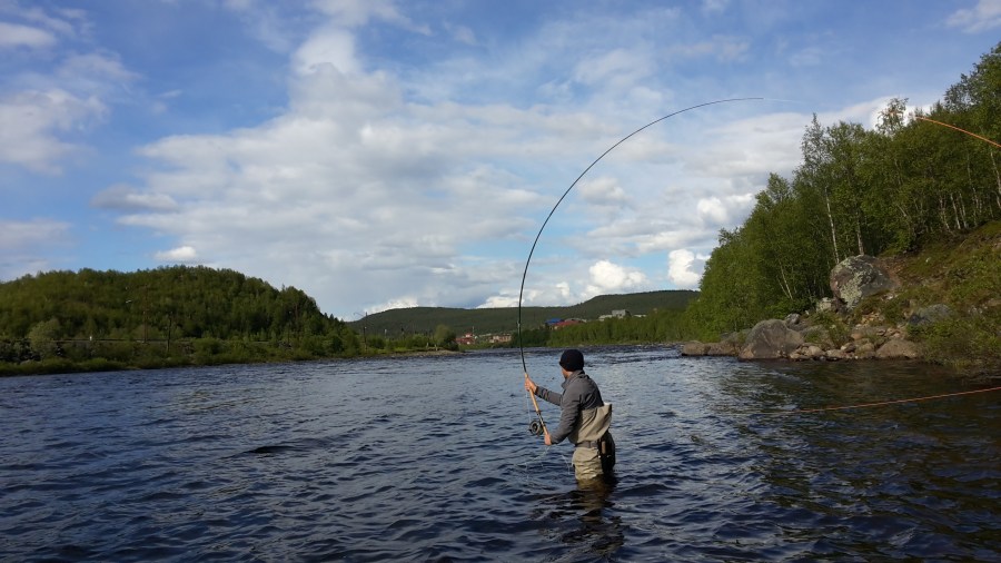 Загруженная удочка 2