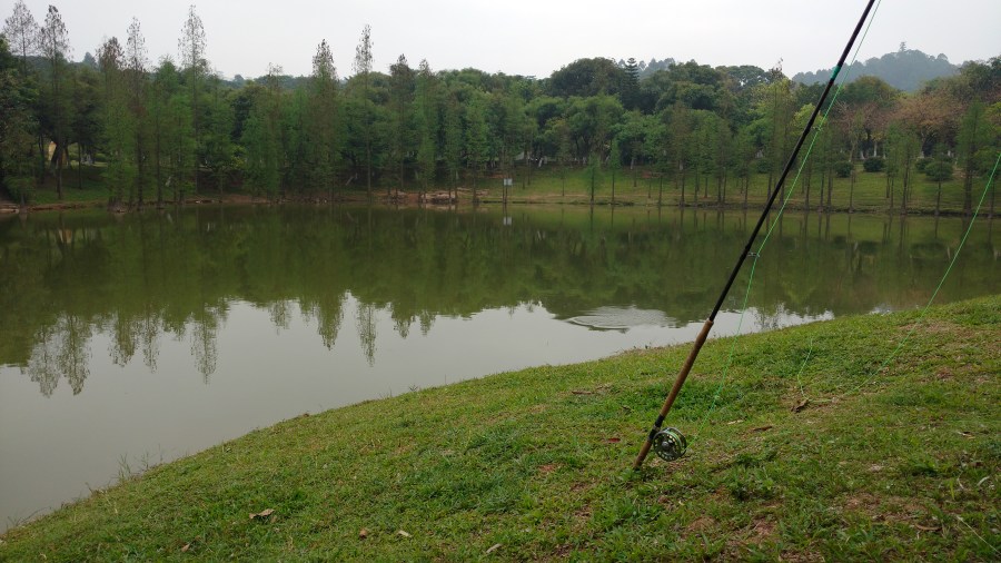 IMG_20170415_073852597