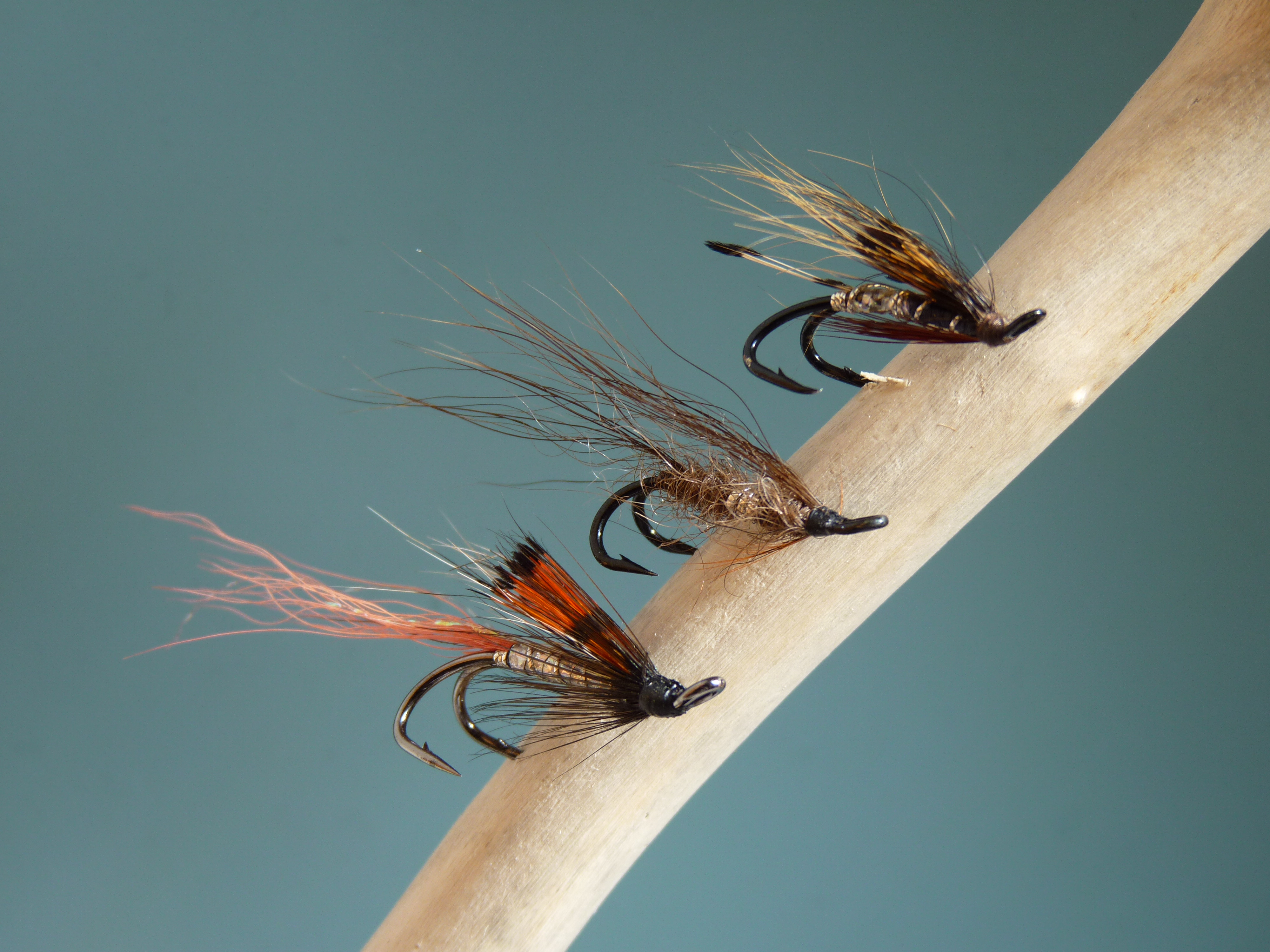 Герои начала июля.JPG