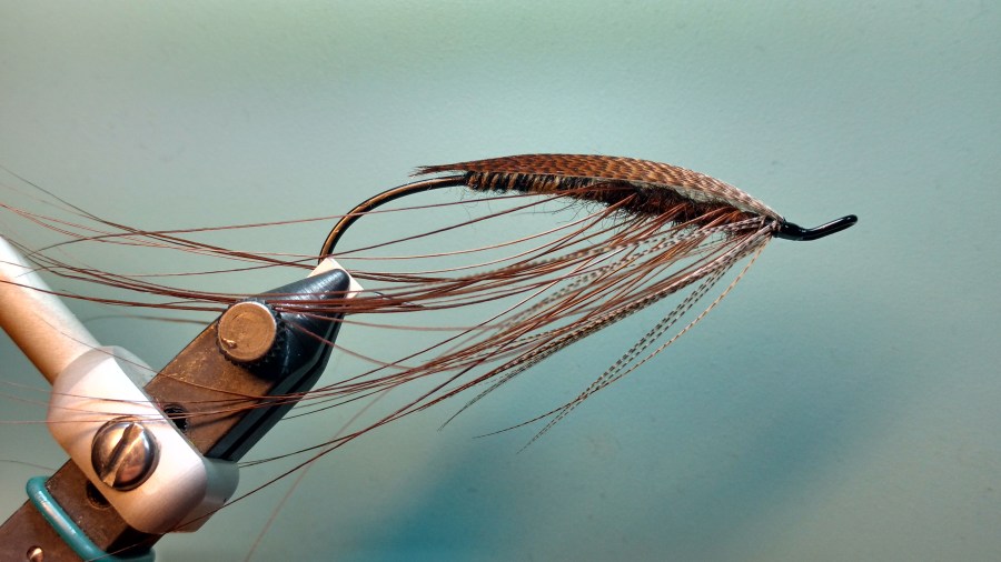 IMG_20170529_215836000_HDR