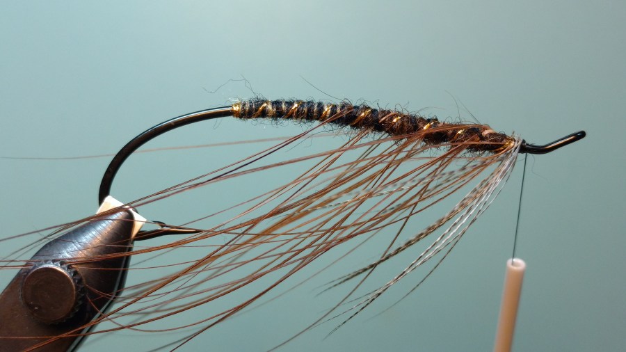 IMG_20170531_054550008