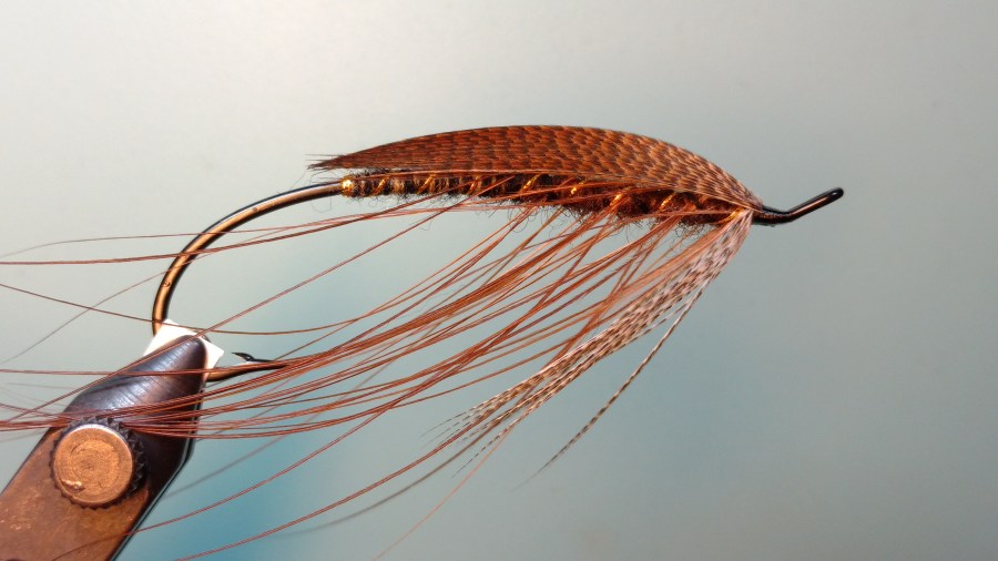 IMG_20170531_220408241