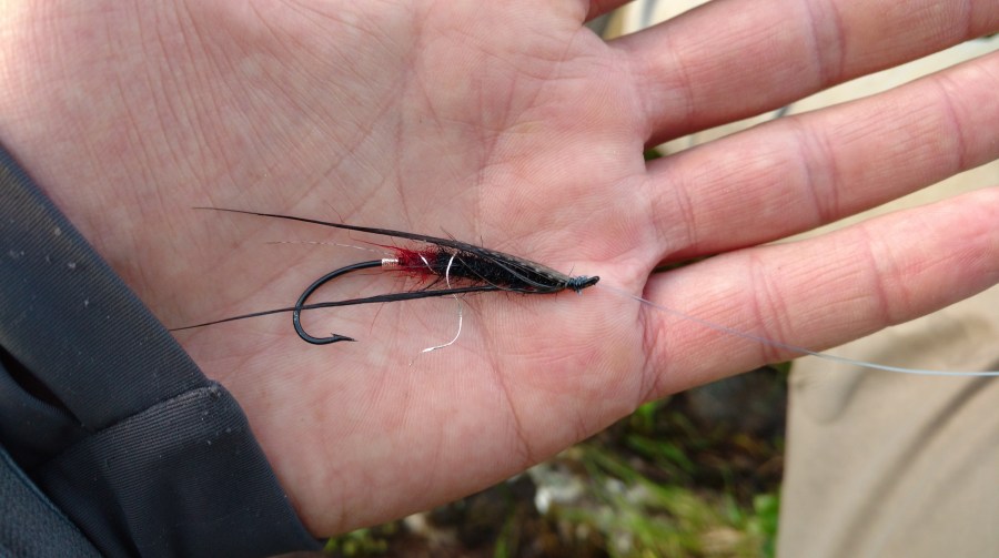 IMG_20170704_232254144