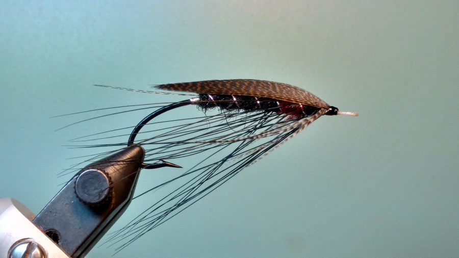 IMG_20170726_221742254_HDR