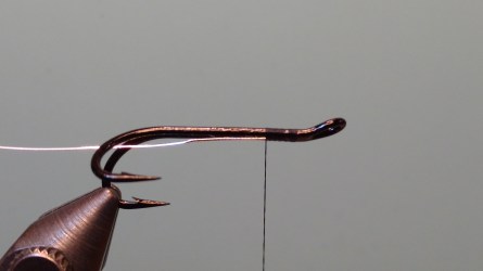 IMG_20171113_185401672