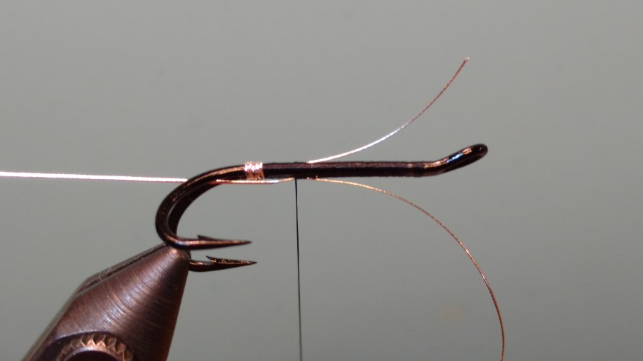 IMG_20171113_190534399