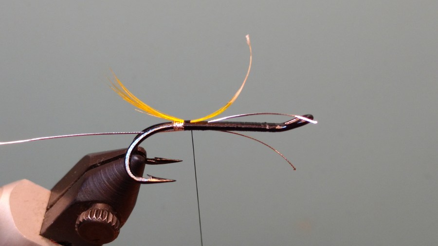 IMG_20171113_191424226