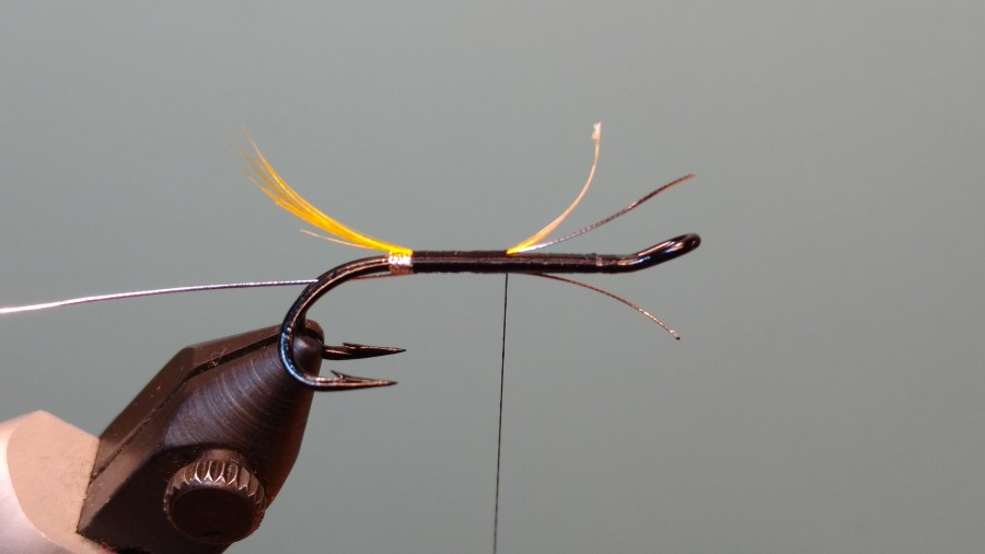 IMG_20171113_191607096