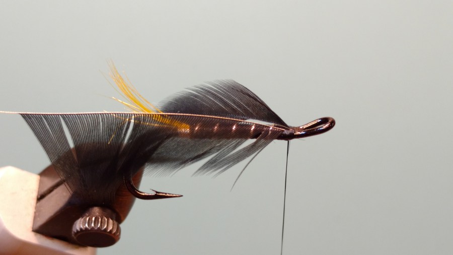 IMG_20171113_203355705