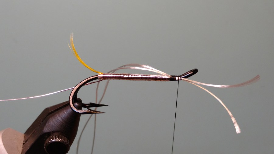 IMG_20171122_224754996