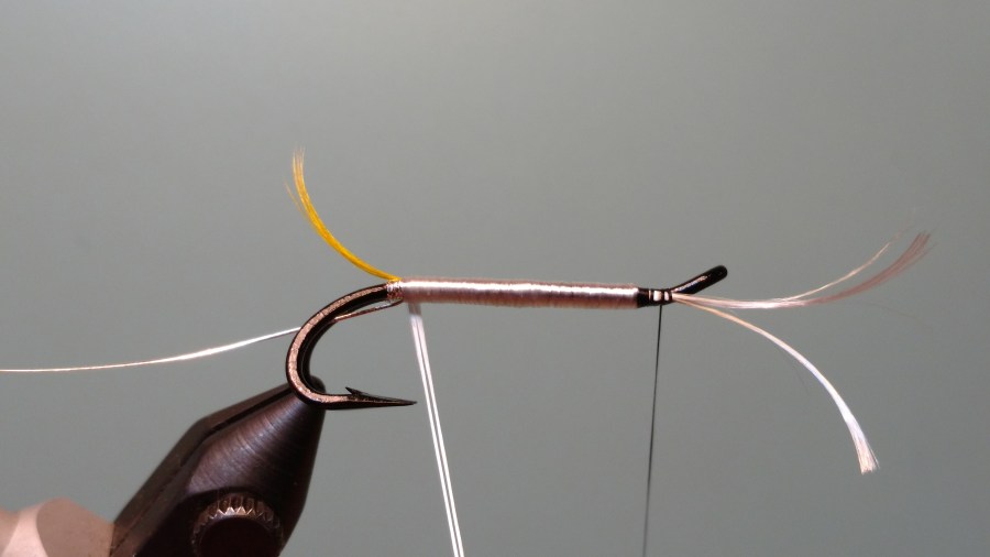 IMG_20171122_225159204