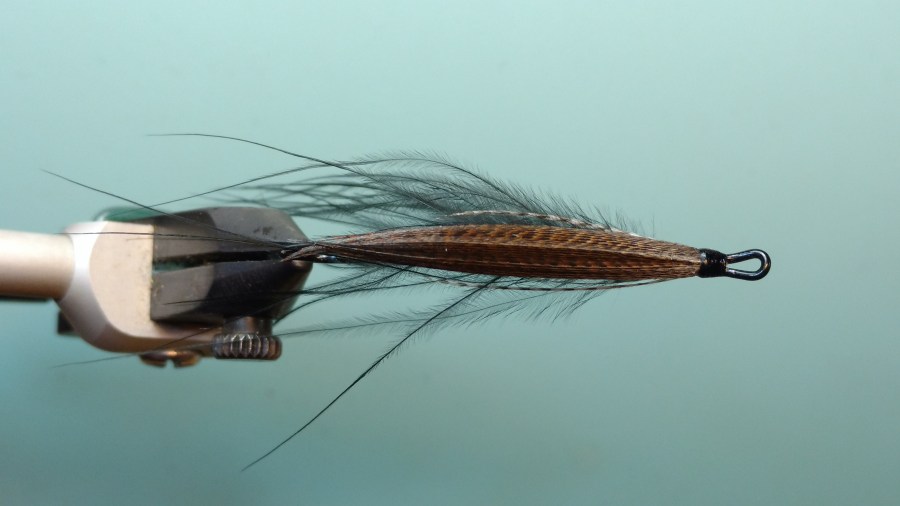 IMG_20180119_081833079