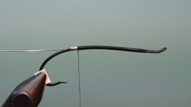 IMG_20180301_083643688