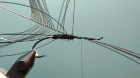 IMG_20180301_225226496