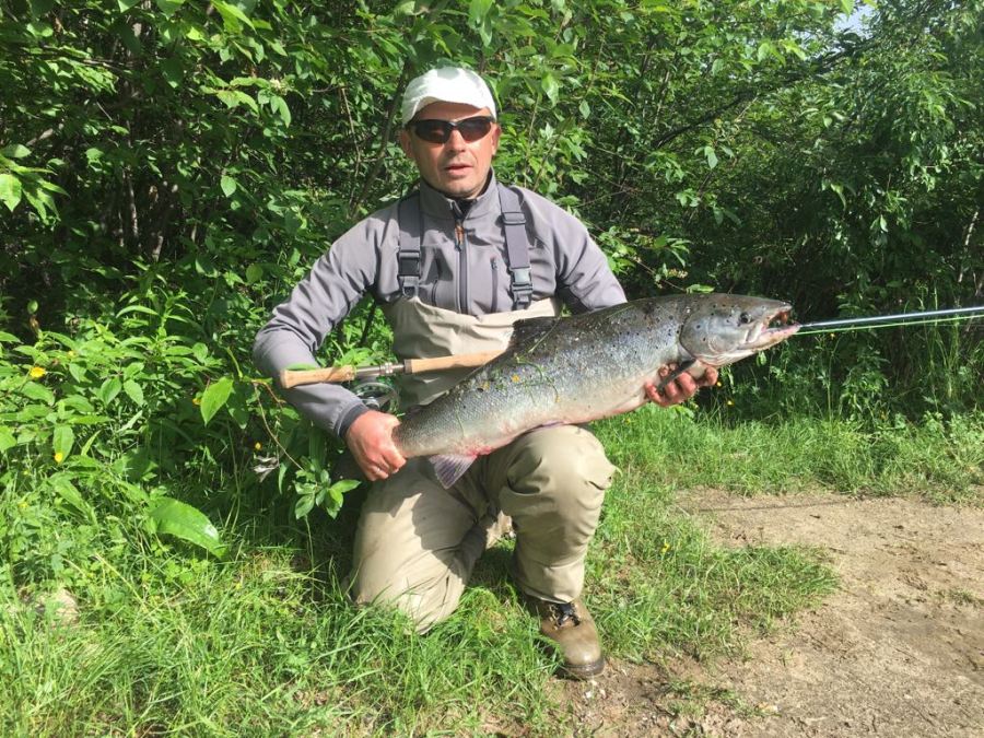 Чудеса апстрима