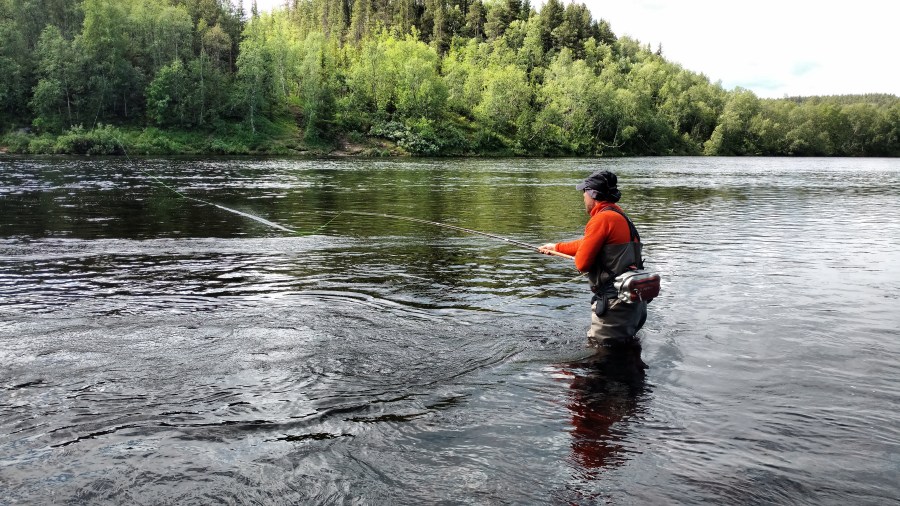 IMG_20180626_110648178