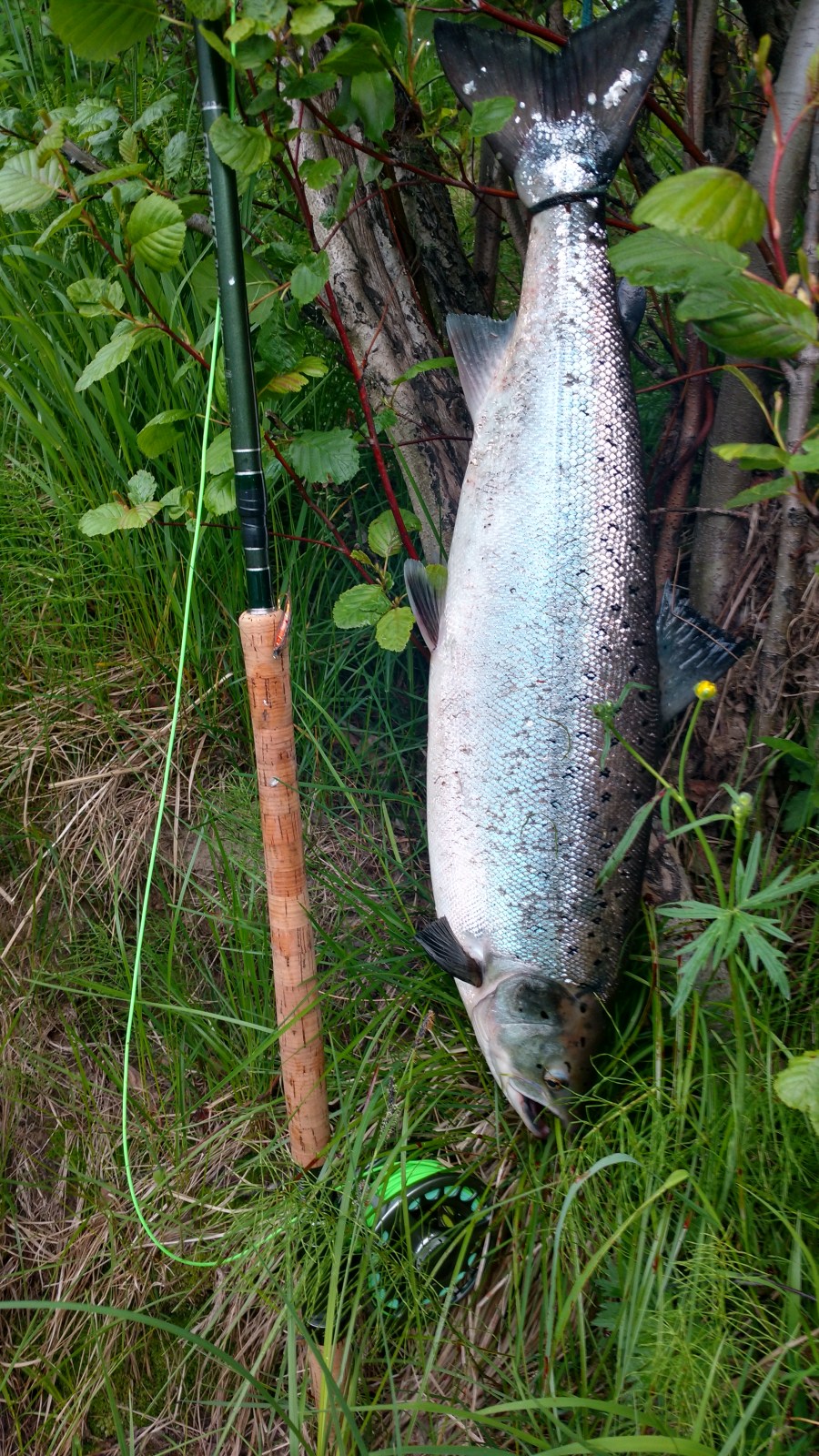 IMG_20180630_201129011_HDR