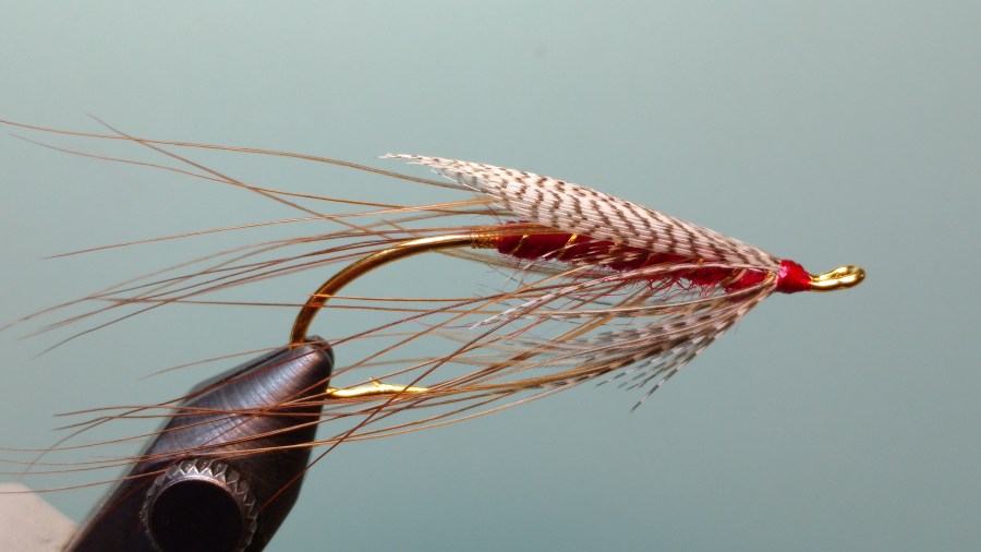 IMG_20181112_102842576