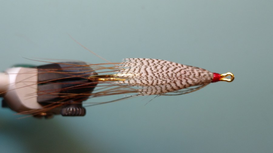 IMG_20181112_102859253