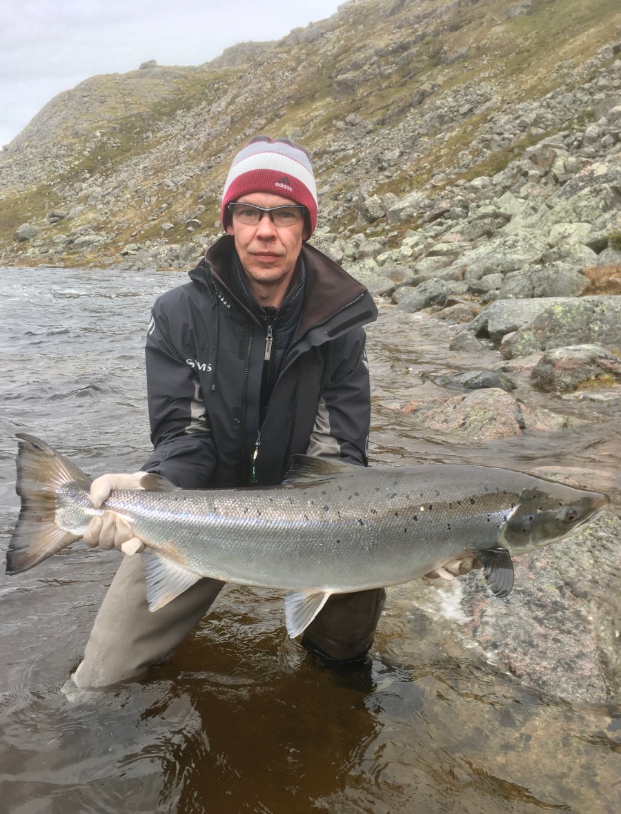 Харловка 2019 рыба 1