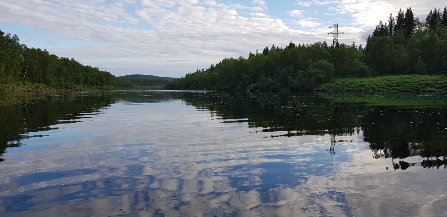 Кола Ракушки