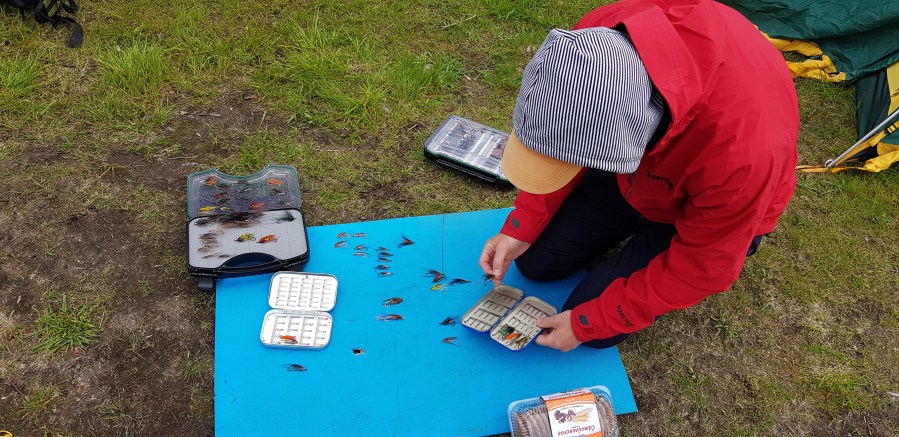 Титовка мухи