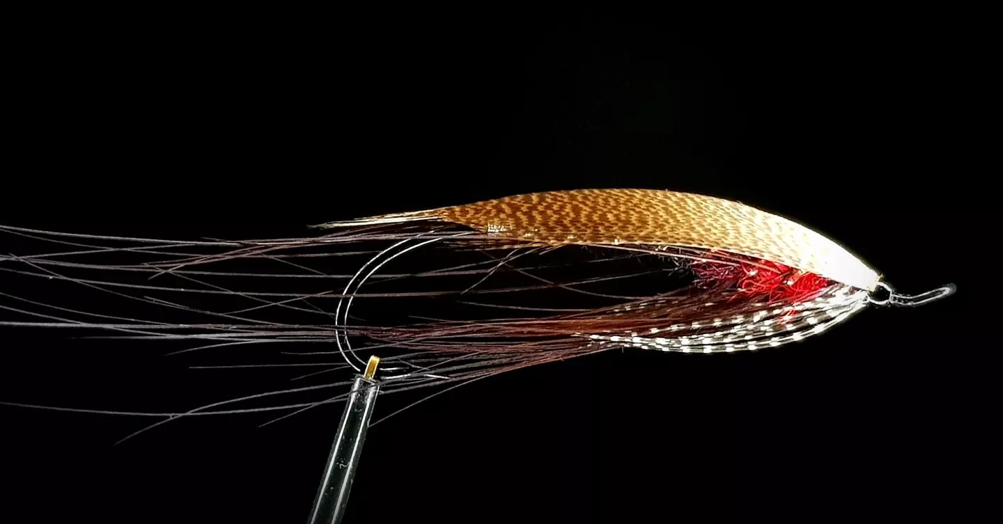 IMG_20220603_092052_583